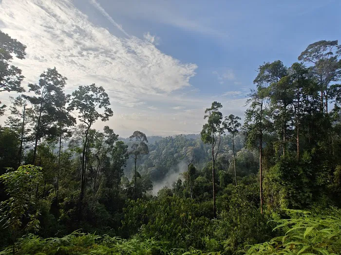 Gunung tapis Picture 6
