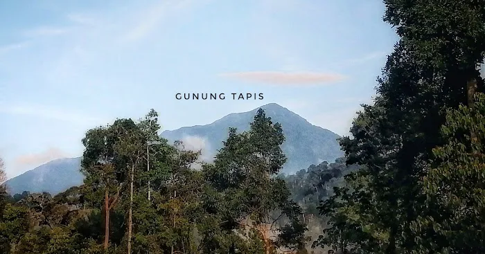 Gunung tapis Picture 1