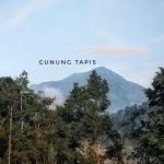 Gunung tapis