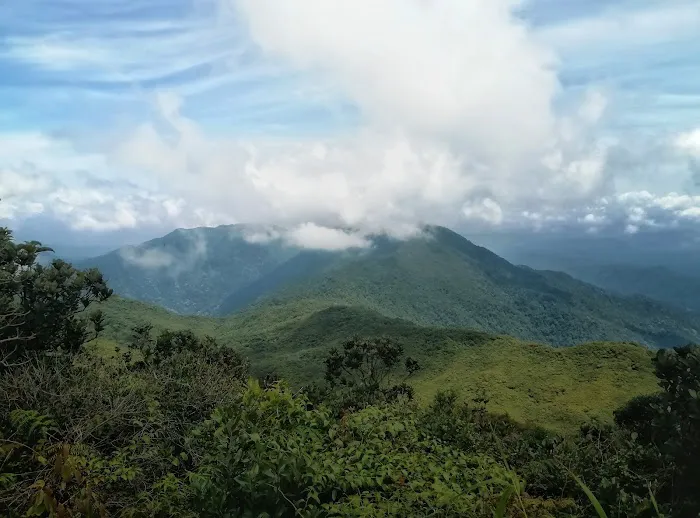 Gunung tapis Picture 4