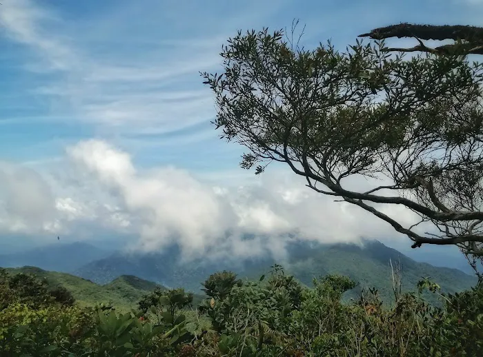 Gunung tapis Picture 3