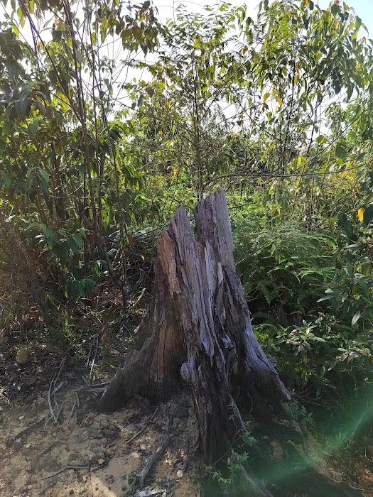 Bukit Penarikan Picture 5