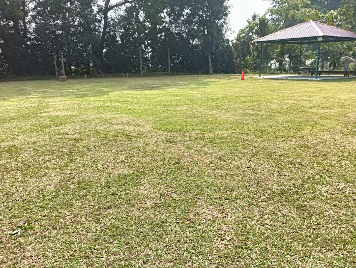 Maya Village aka The Field Picture 10