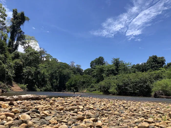 Taman Negara Kelantan Kuala Koh, Gua Musang, Kelantan. Picture 1