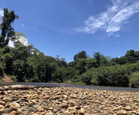 Taman Negara Kelantan Kuala Koh, Gua Musang, Kelantan.