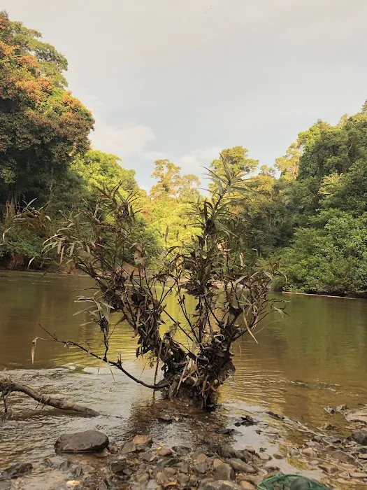 Taman Negara Kelantan Kuala Koh, Gua Musang, Kelantan. Picture 6