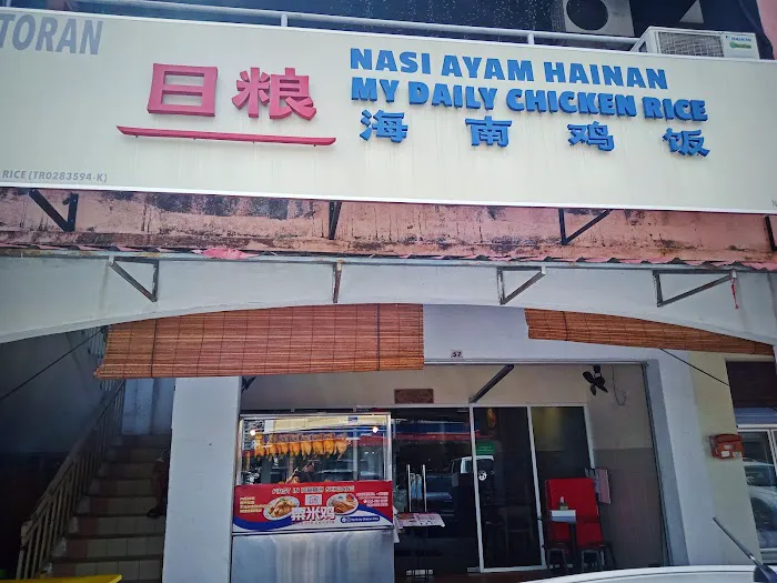 My Daily Chicken Rice • 日粮海南鸡饭 Picture 10