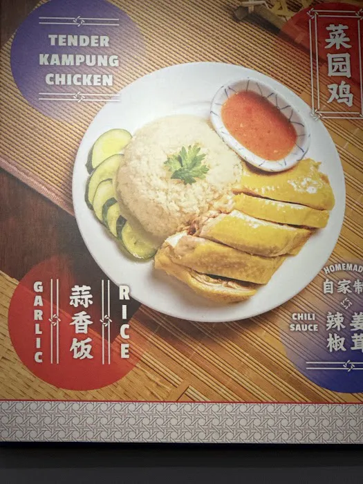 My Daily Chicken Rice • 日粮海南鸡饭 Picture 5
