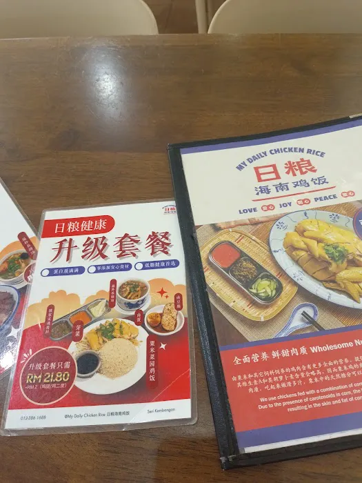 My Daily Chicken Rice • 日粮海南鸡饭 Picture 1