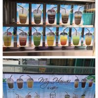 My Hawaii ico