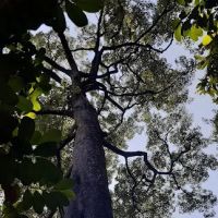 Jeram Besar Bukit Besi ico