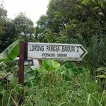 Taman Desa Baiduri