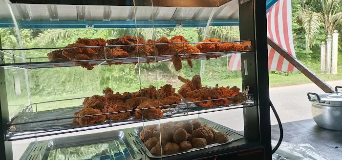 aisyah chicken crispy Picture 2