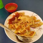 Ha Roti Canai Dot My