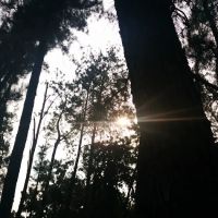 Taman Konservatori UPM ico