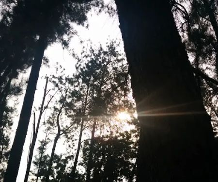 Taman Konservatori UPM