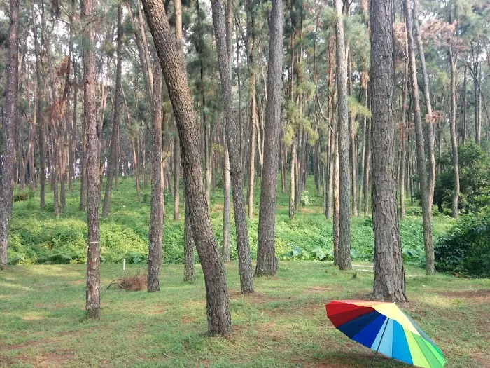 Taman Konservatori UPM Picture 3