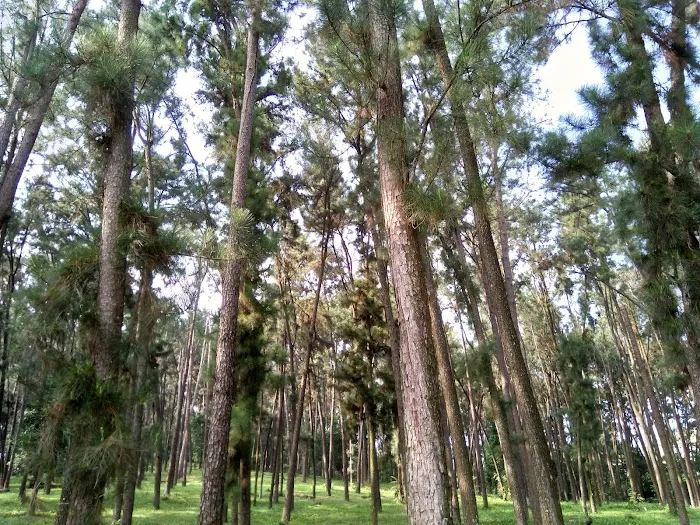 Taman Konservatori UPM Picture 5