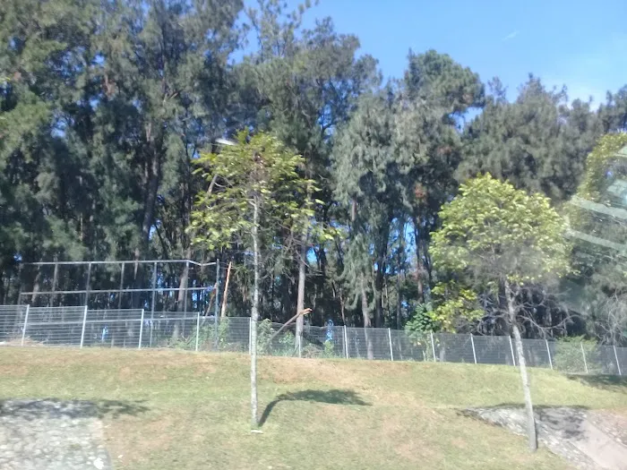 Ladang Pine UPM Picture 8
