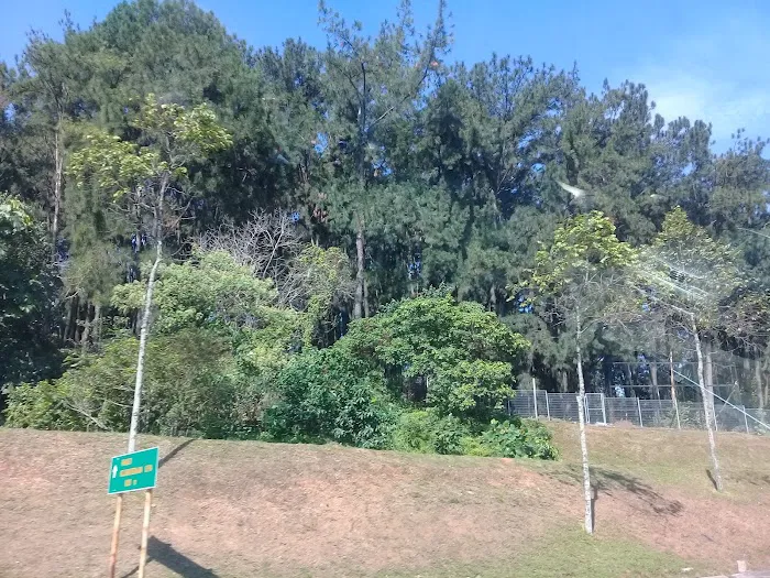 Ladang Pine UPM Picture 7