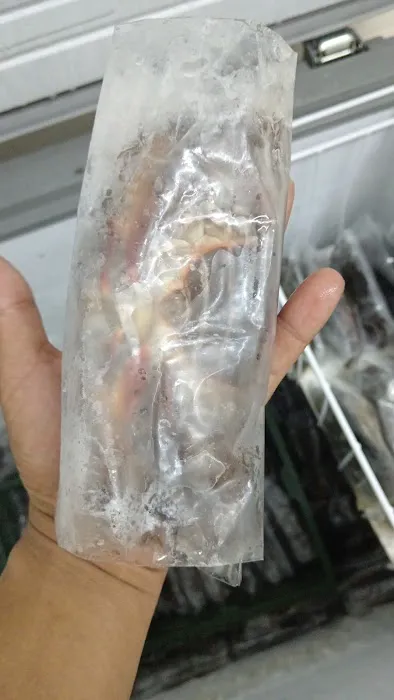 Ketam lembut borong banting baru Picture 3