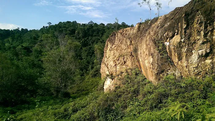 Hutan Simpan Ayer Hitam Picture 2