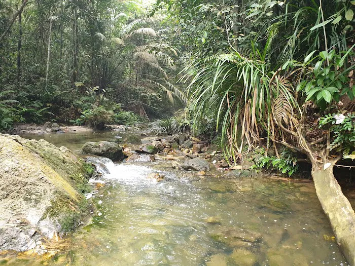 Hutan Simpan Ayer Hitam Picture 3