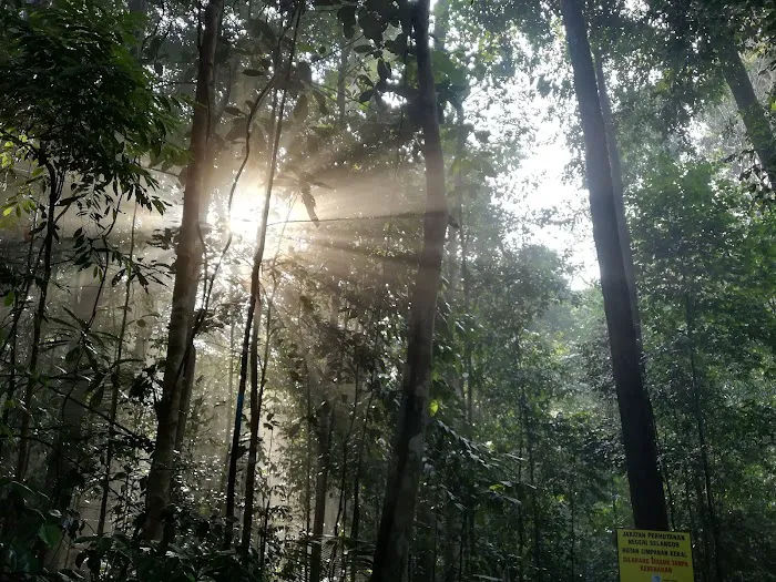 Hutan Simpan Ayer Hitam Picture 6