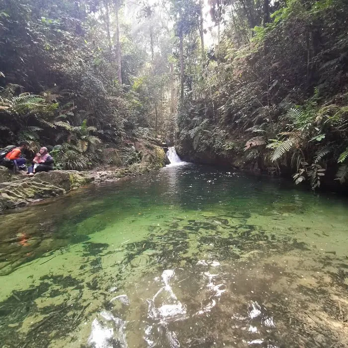 Hutan Simpan Ayer Hitam Picture 7