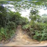 Hutan Simpan Ayer Hitam