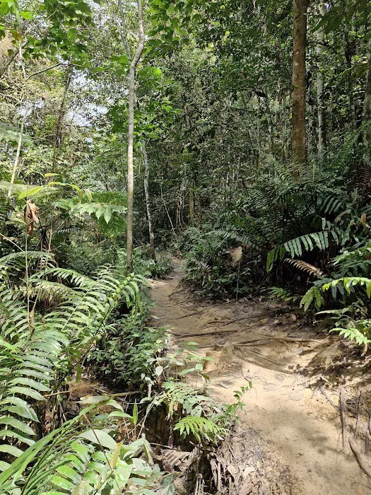 Hutan Simpan Ayer Hitam Picture 4