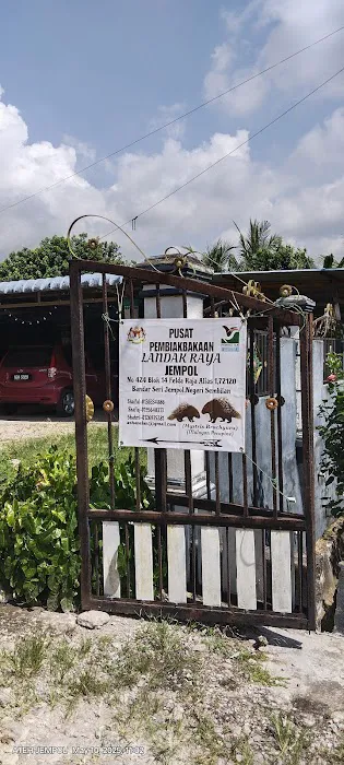 Pusat Pembiakan Landak Raya Jempol Picture 2