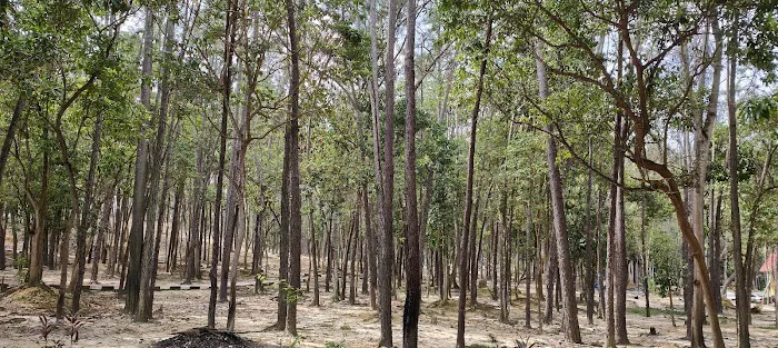 Taman awan BSJ Picture 1
