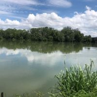 RiverPoint ico
