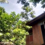 Surau Haji Muda Kampung Rahmat
