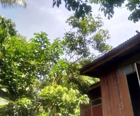 Surau Haji Muda Kampung Rahmat