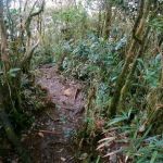 Y Junction to Besar Hantu & Kecil Hantu