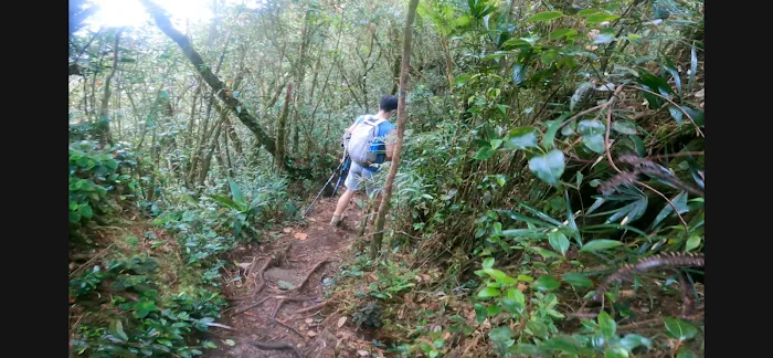 Y Junction to Besar Hantu & Kecil Hantu Picture 4