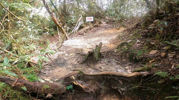 Y Junction to Besar Hantu & Kecil Hantu Picture 3