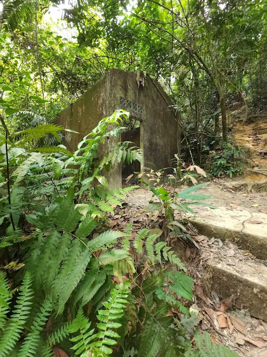 The Abandoned House Picture 10