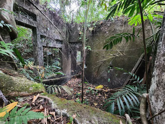 The Abandoned House Picture 9