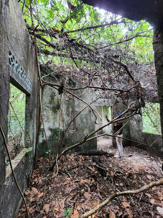 The Abandoned House Picture 5