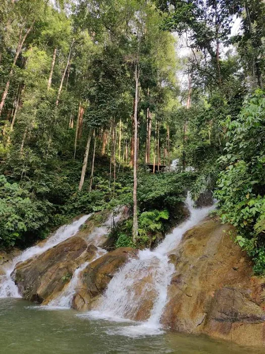 Taman Rimba Templer Picture 6