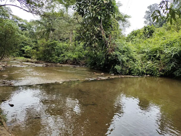 Taman Rimba Templer Picture 3