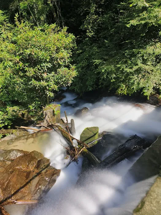 Taman Rimba Templer Picture 9