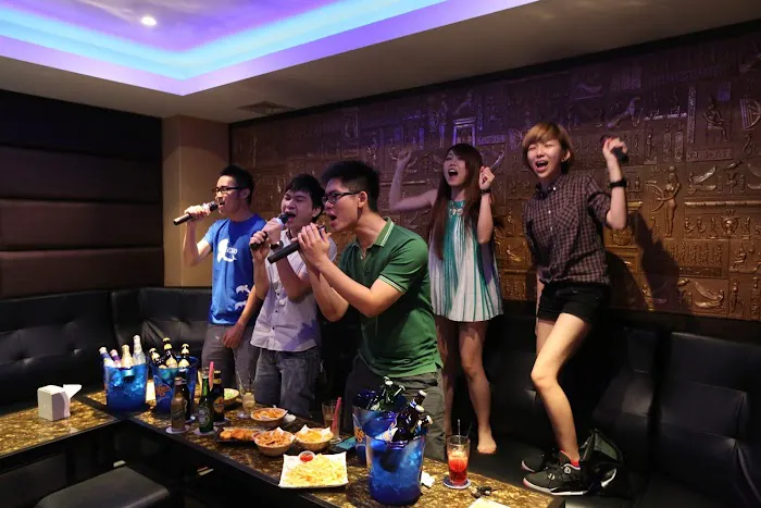 Music Bee Karaoke Picture 6