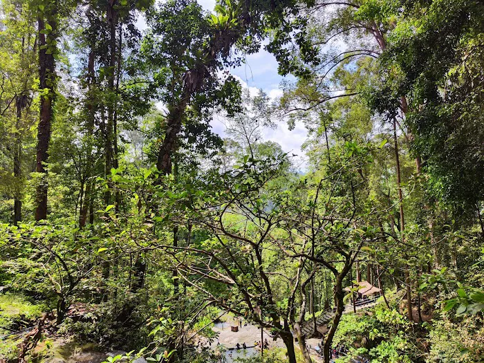 Taman Eko Rimba Kanching by Tourism Selangor Picture 10