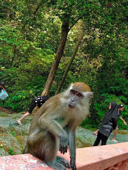 Taman Eko Rimba Kanching by Tourism Selangor Picture 4