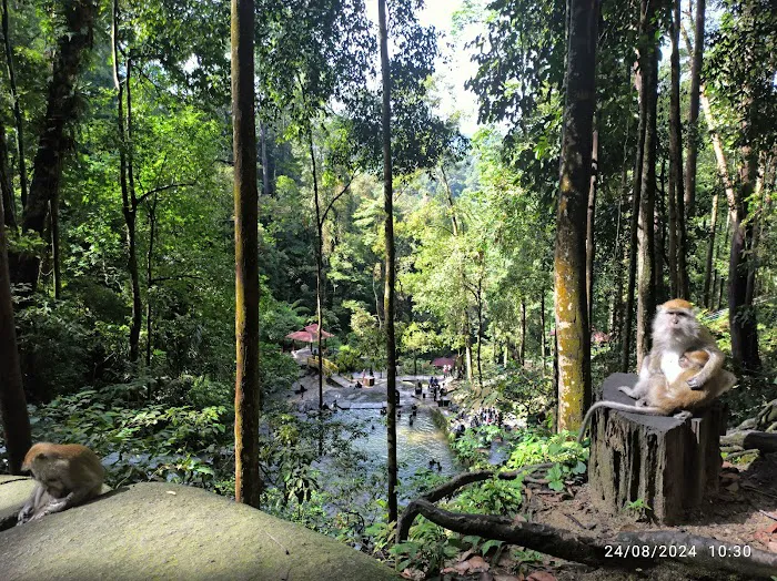 Taman Eko Rimba Kanching by Tourism Selangor Picture 3