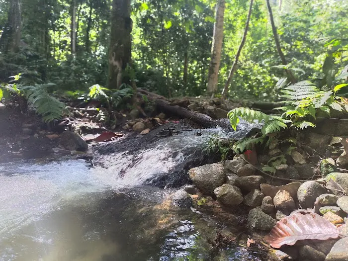 Taman Eko Rimba Kanching by Tourism Selangor Picture 2